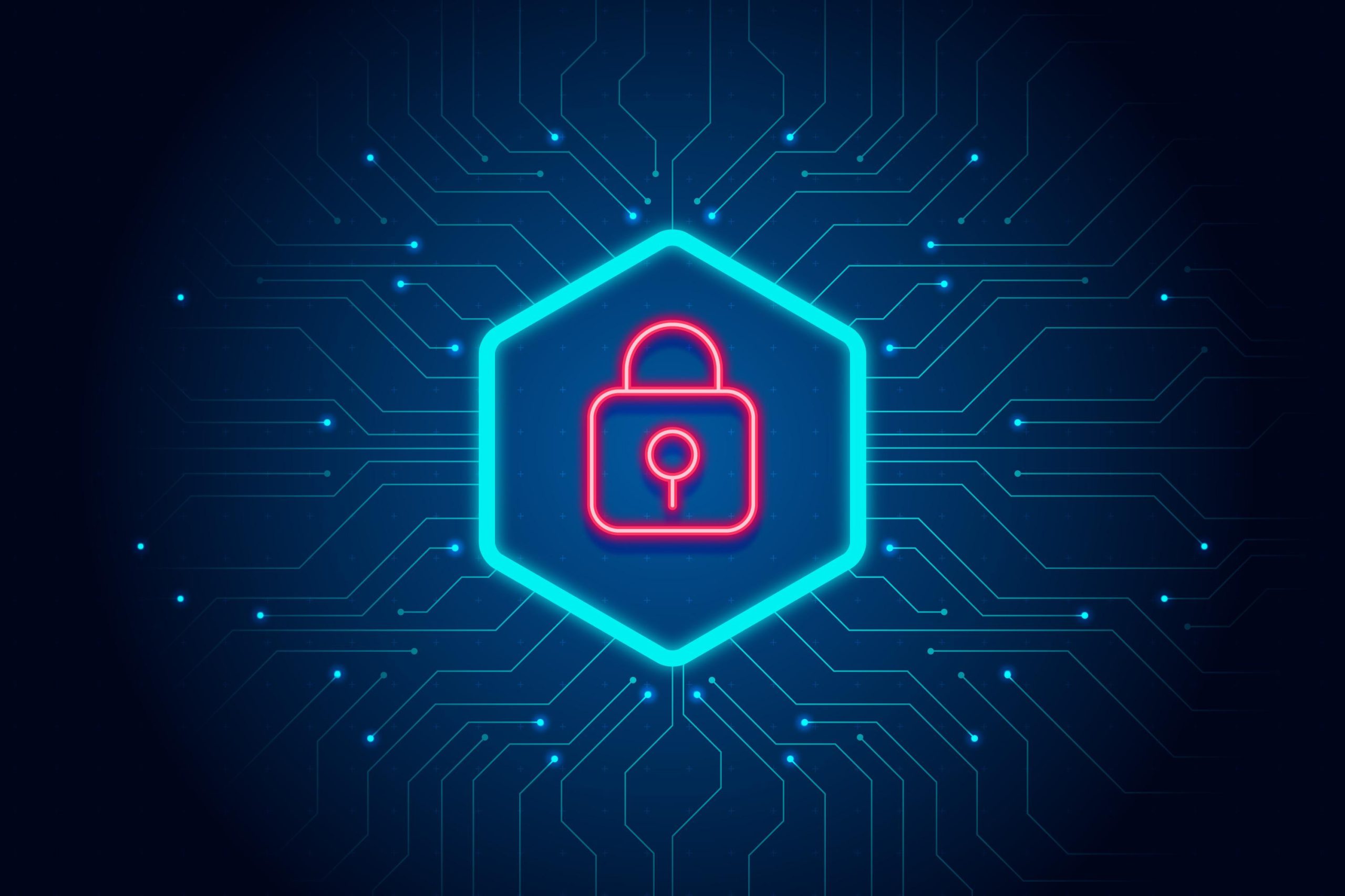 How Businesses Can Protect Their Data